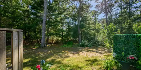 Image 4: Yard