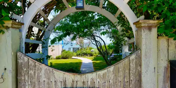 Image 2: View through front gate