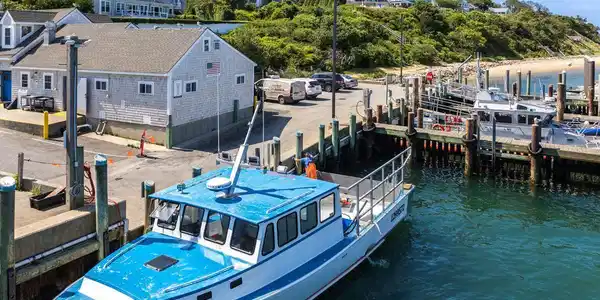 Image 3: Chatham Fish Pier and bluff