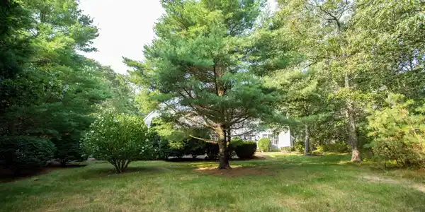 Image 3: 49