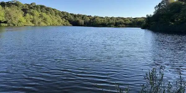 Image 2: schoolhouse pond