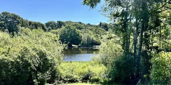 Image 3: pond view