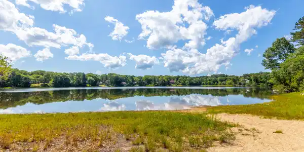 Image 3: Flax Pond