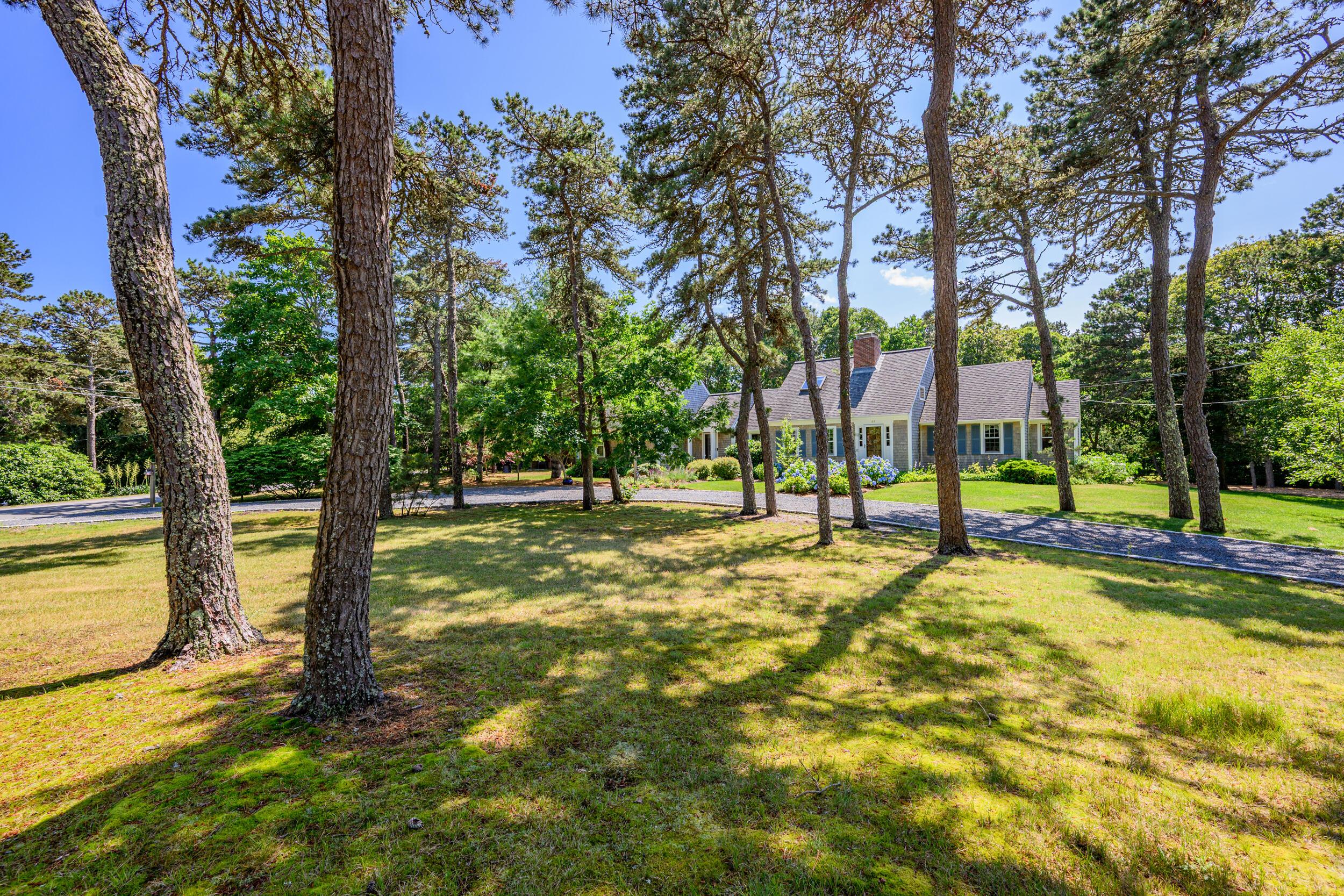 Image 3: Front yard