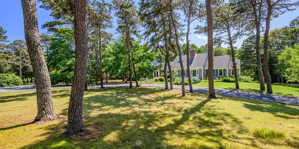 Image 3: Front yard