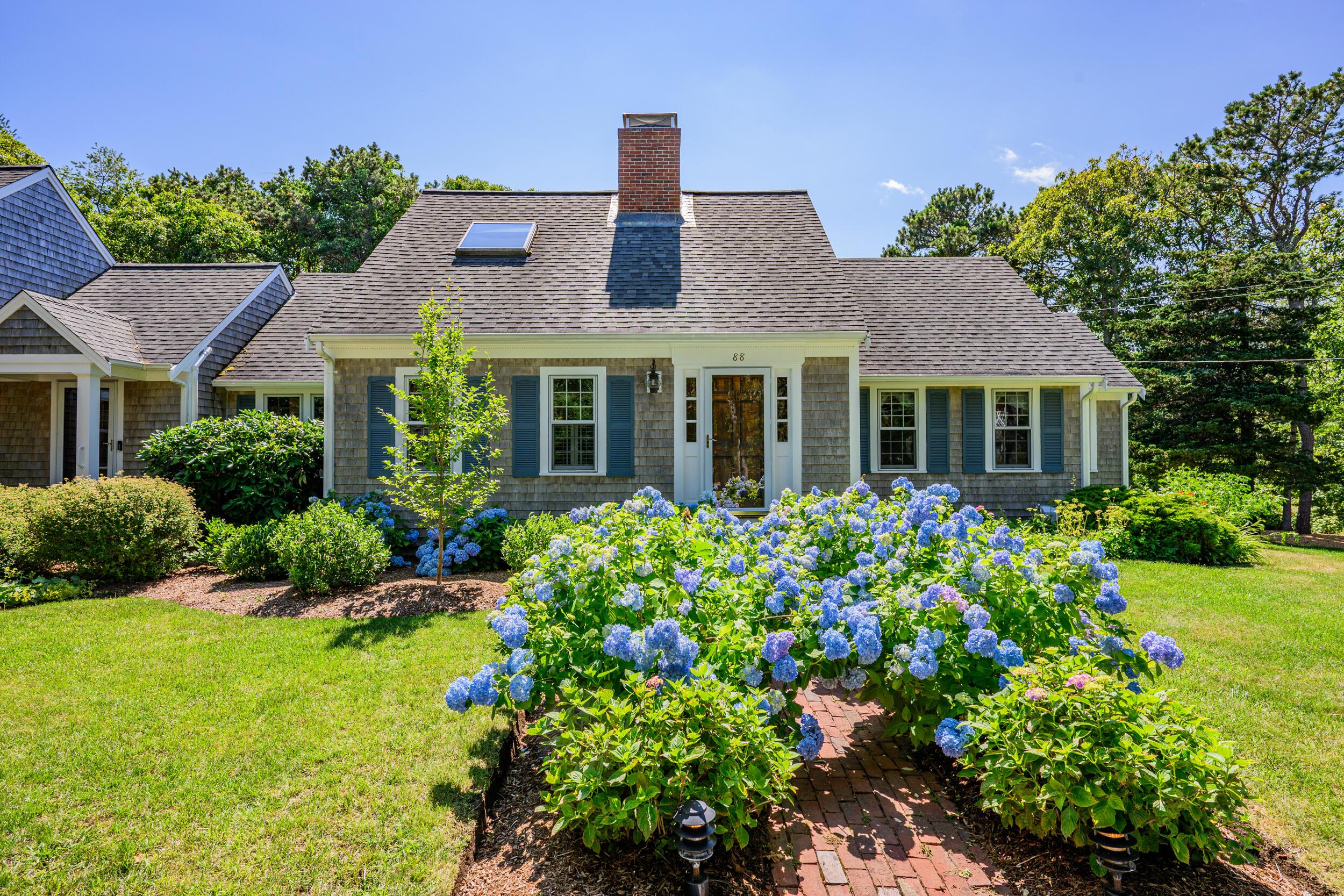 Image 4: Hydrangeas galore