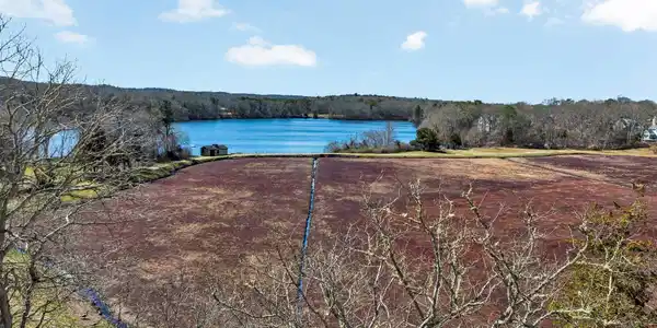 Image 3: View 2