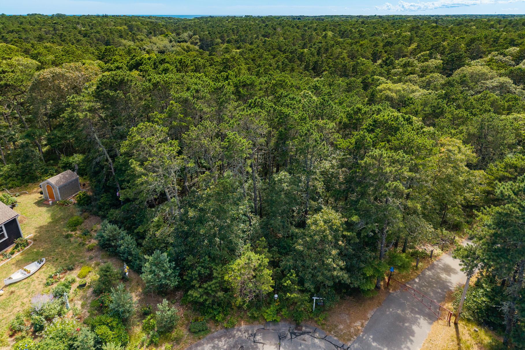 Image 1: DJI_20250719145937_0642_D