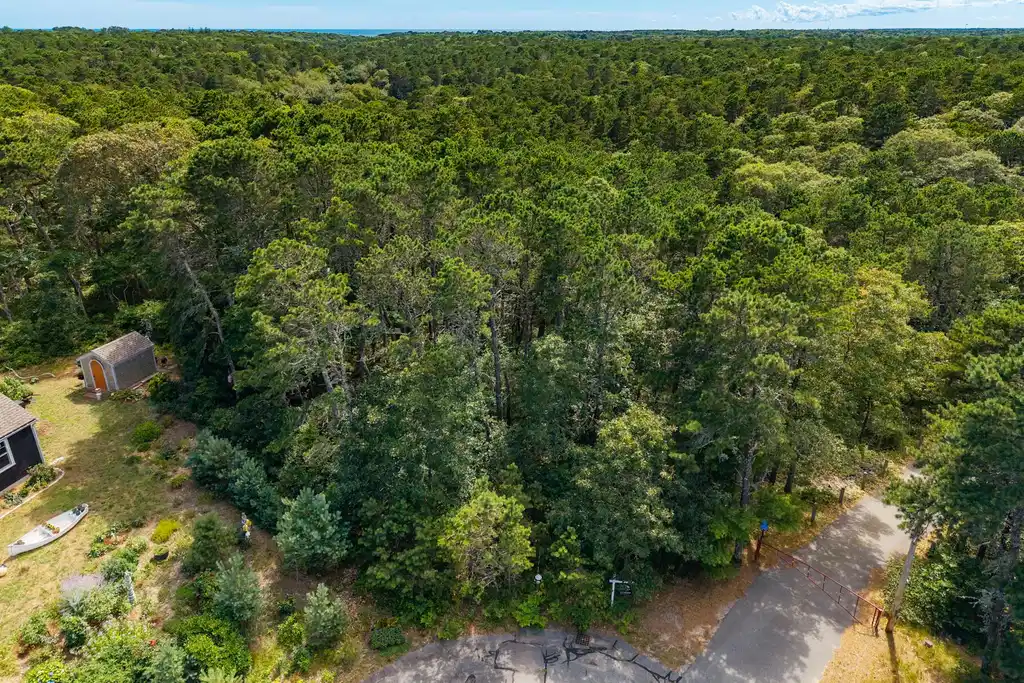 Image 1: DJI_20250719145937_0642_D