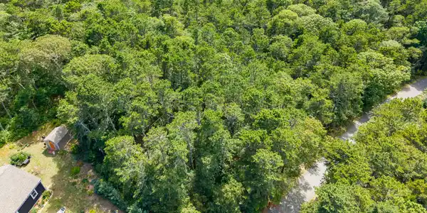 Image 2: DJI_20250719145954_0643_D