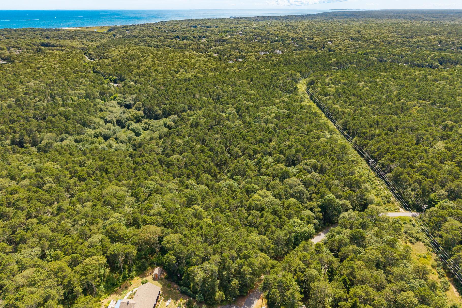 Image 3: DJI_20250719150038_0646_D