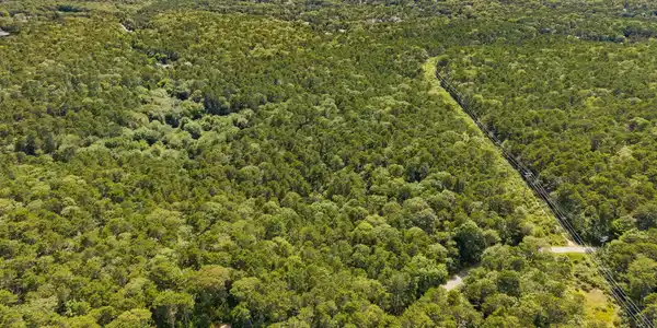 Image 3: DJI_20250719150038_0646_D