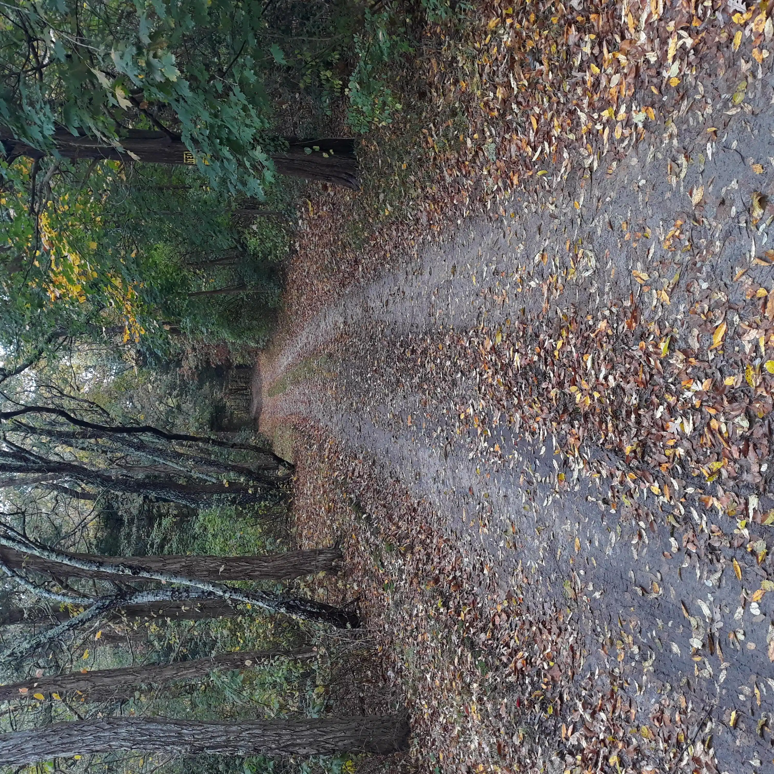 Image 1: in 420' from street