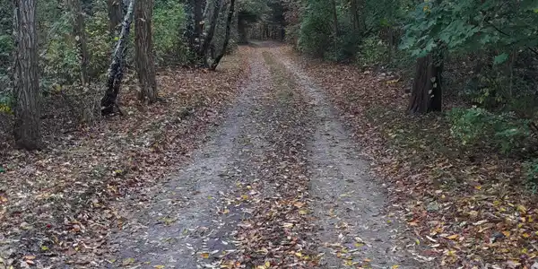 Image 3: IN 420'FROM RT 6A TOWARDS RAILROAD TRACK