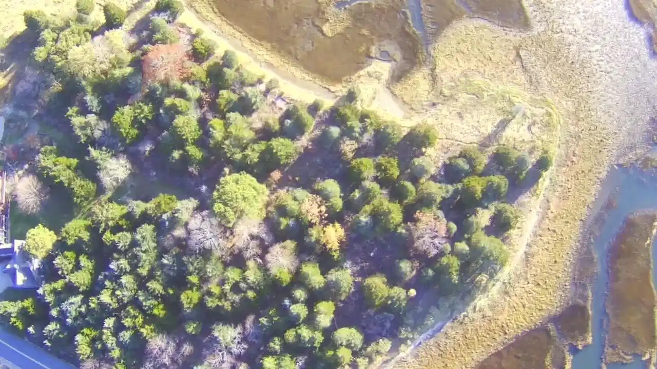 Image 1: Aerial