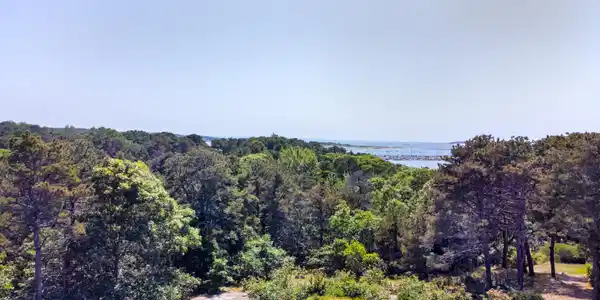 Image 4: 30HarborViewCircle,WellfleetAerials-19