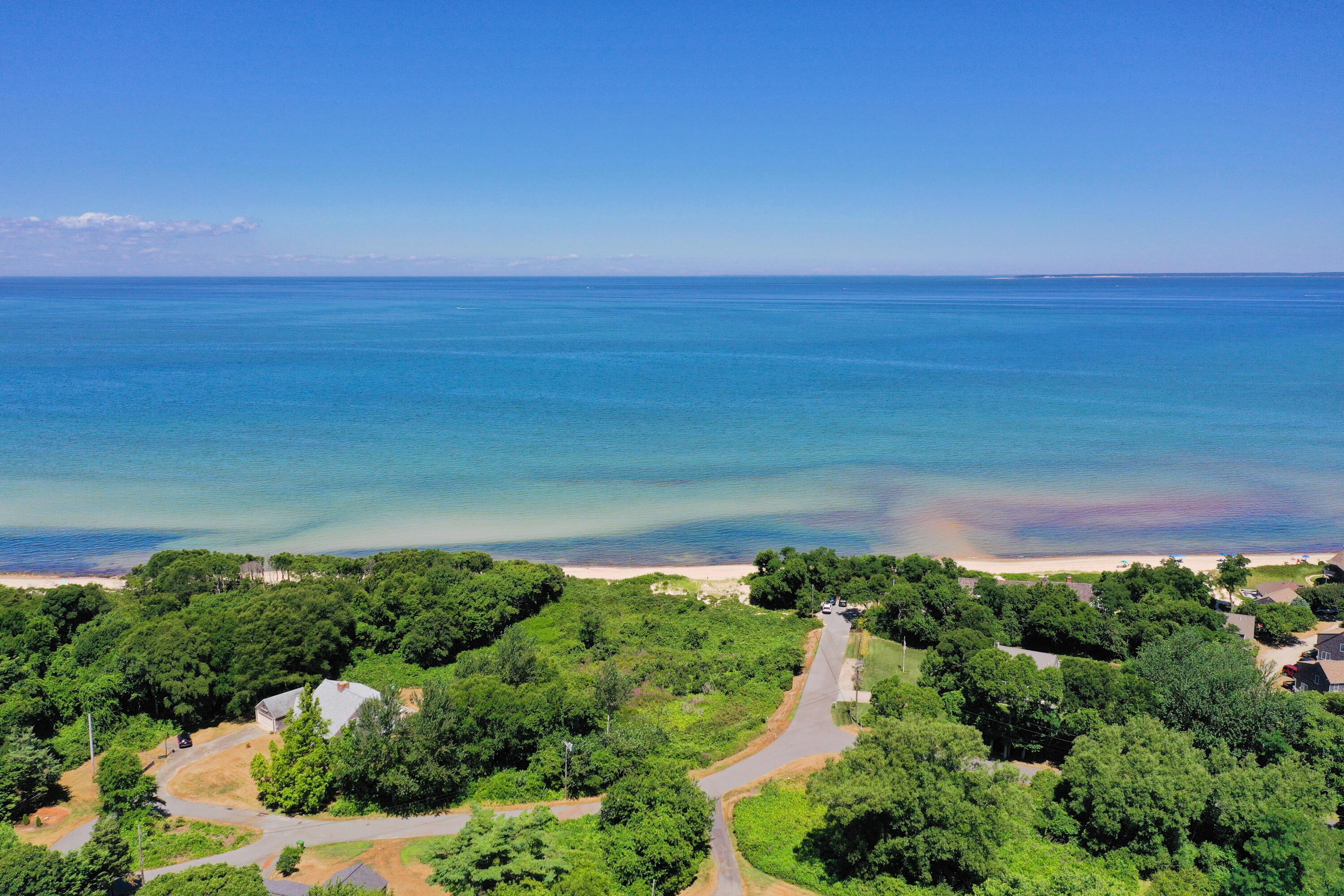 Image 2: 46 Partridge (11)