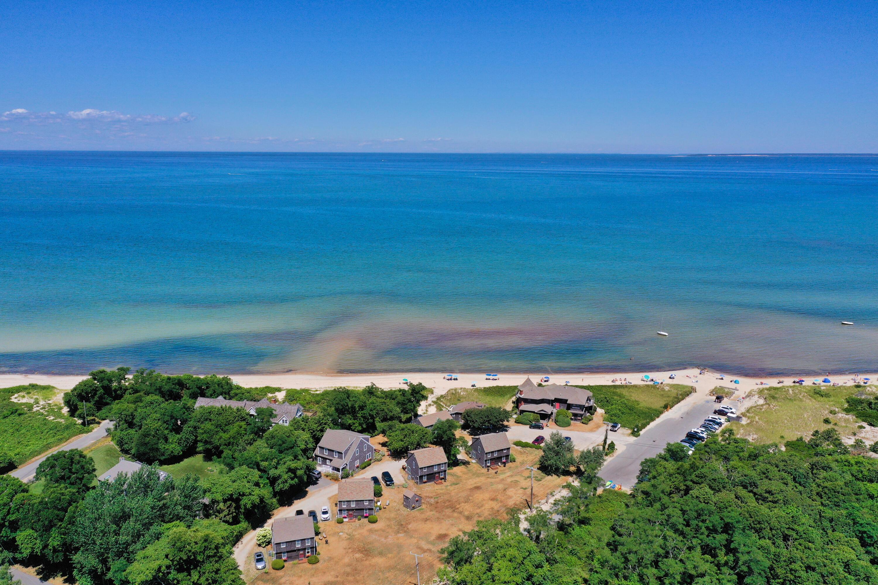 Image 3: 46 Partridge (12)