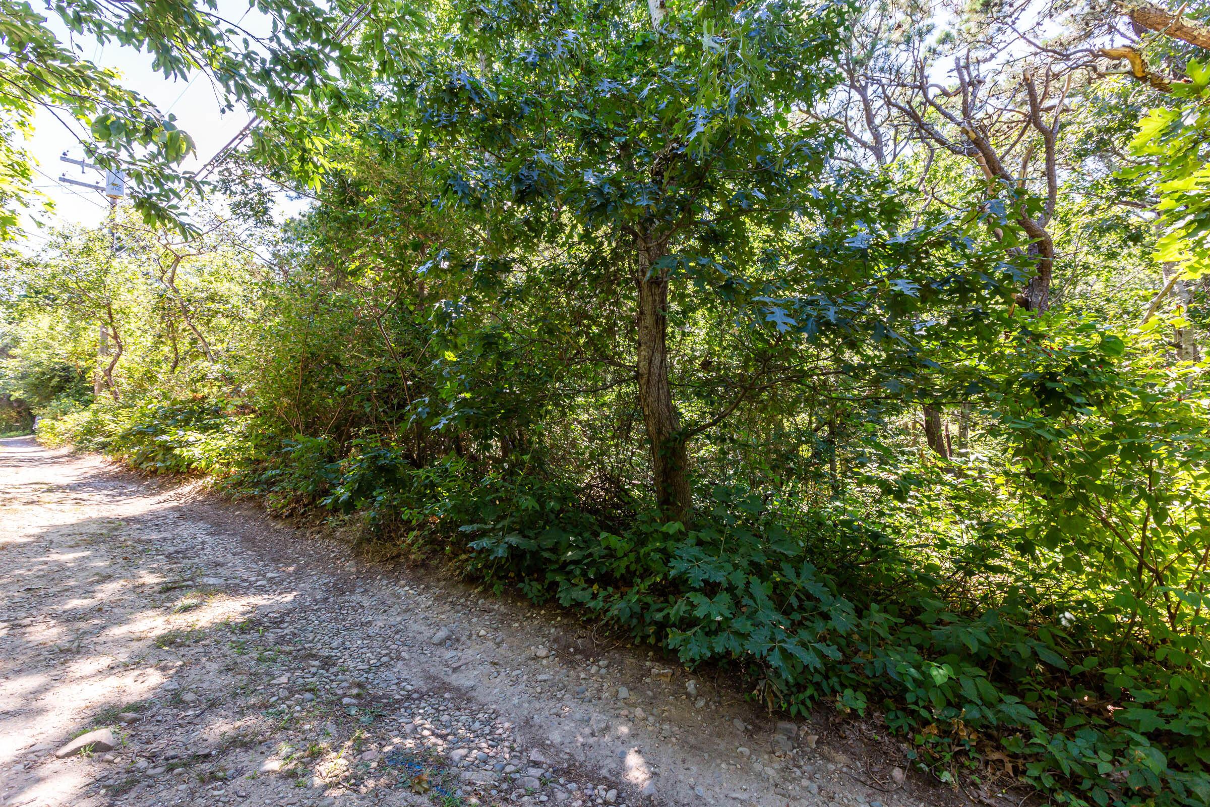 Image 4: 49PatridgeCir-52-w