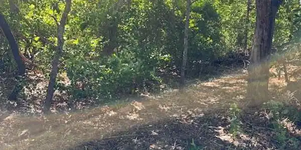 Image 3: 0 Kens Way Woods