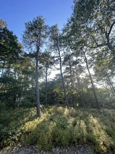 30 Sam Hollow Road