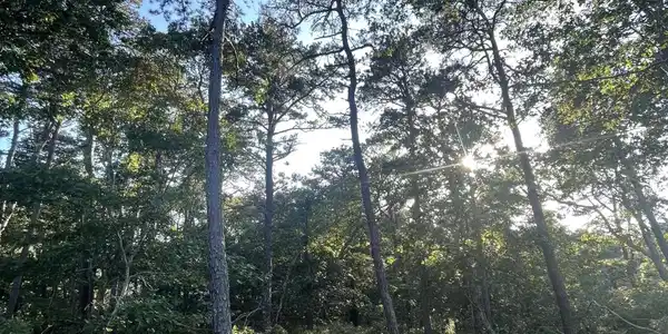 30 Sam Hollow Road