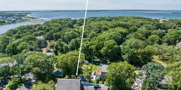 Image 3: drone7