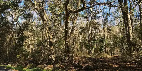 Lot 19 S 2nd Street