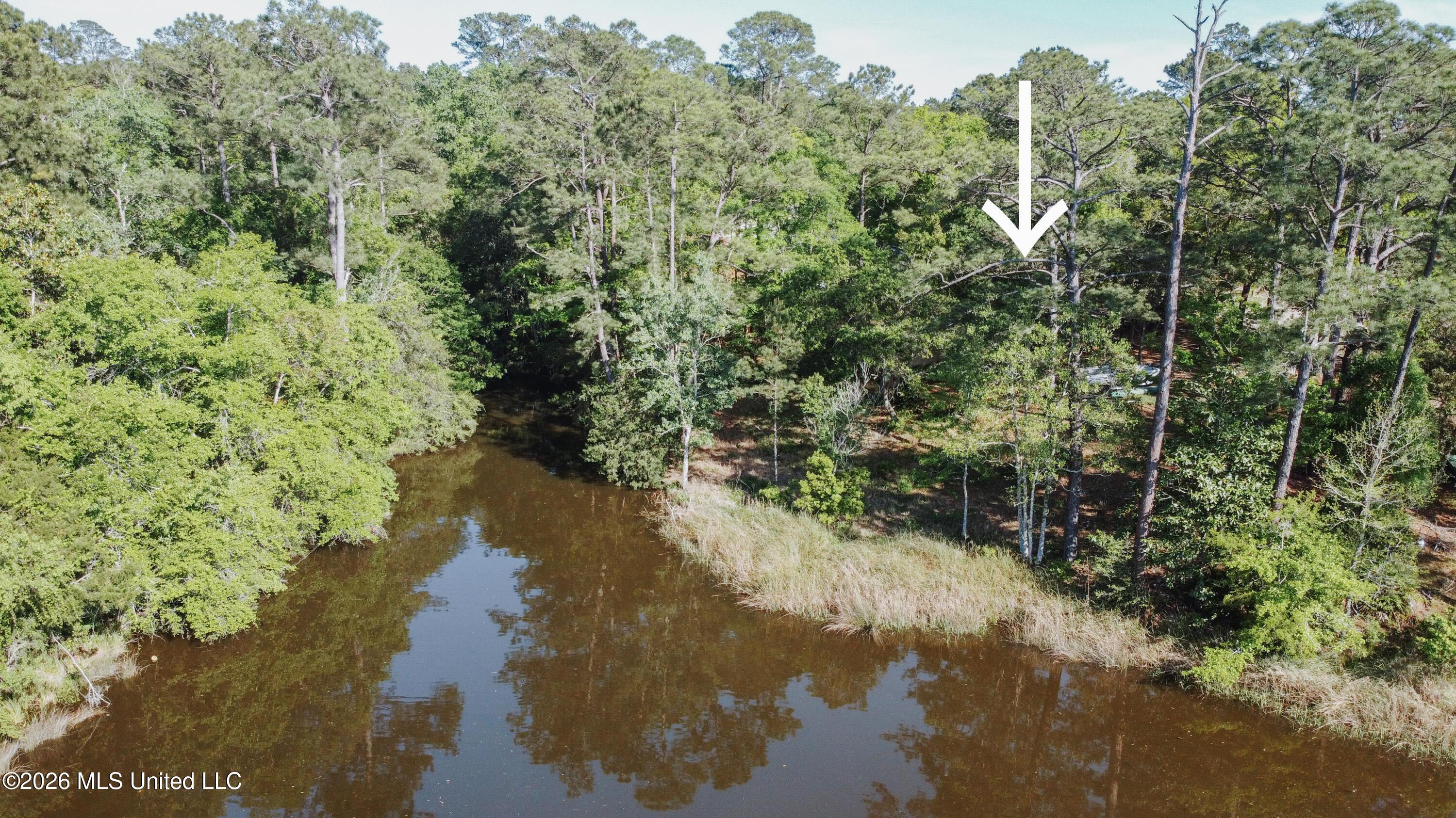 Image 3: 9300 Ridgeview Drive 3