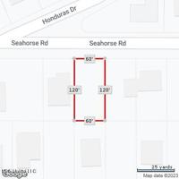 Seahorse Road