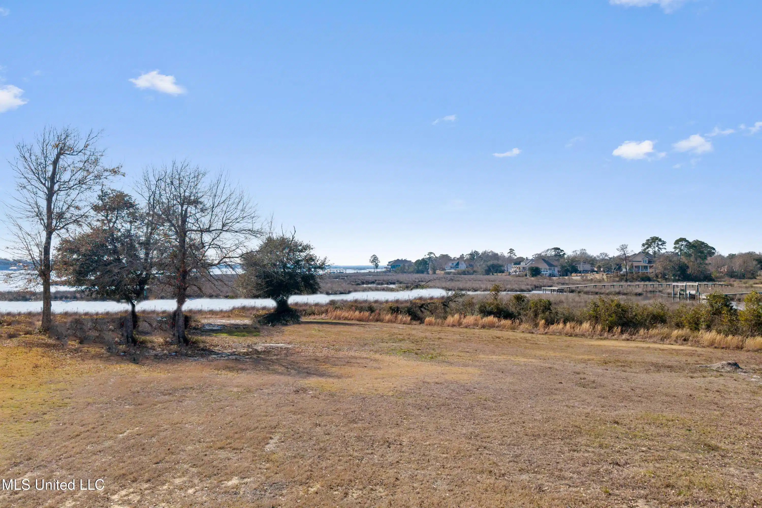 Image 1: Lot
