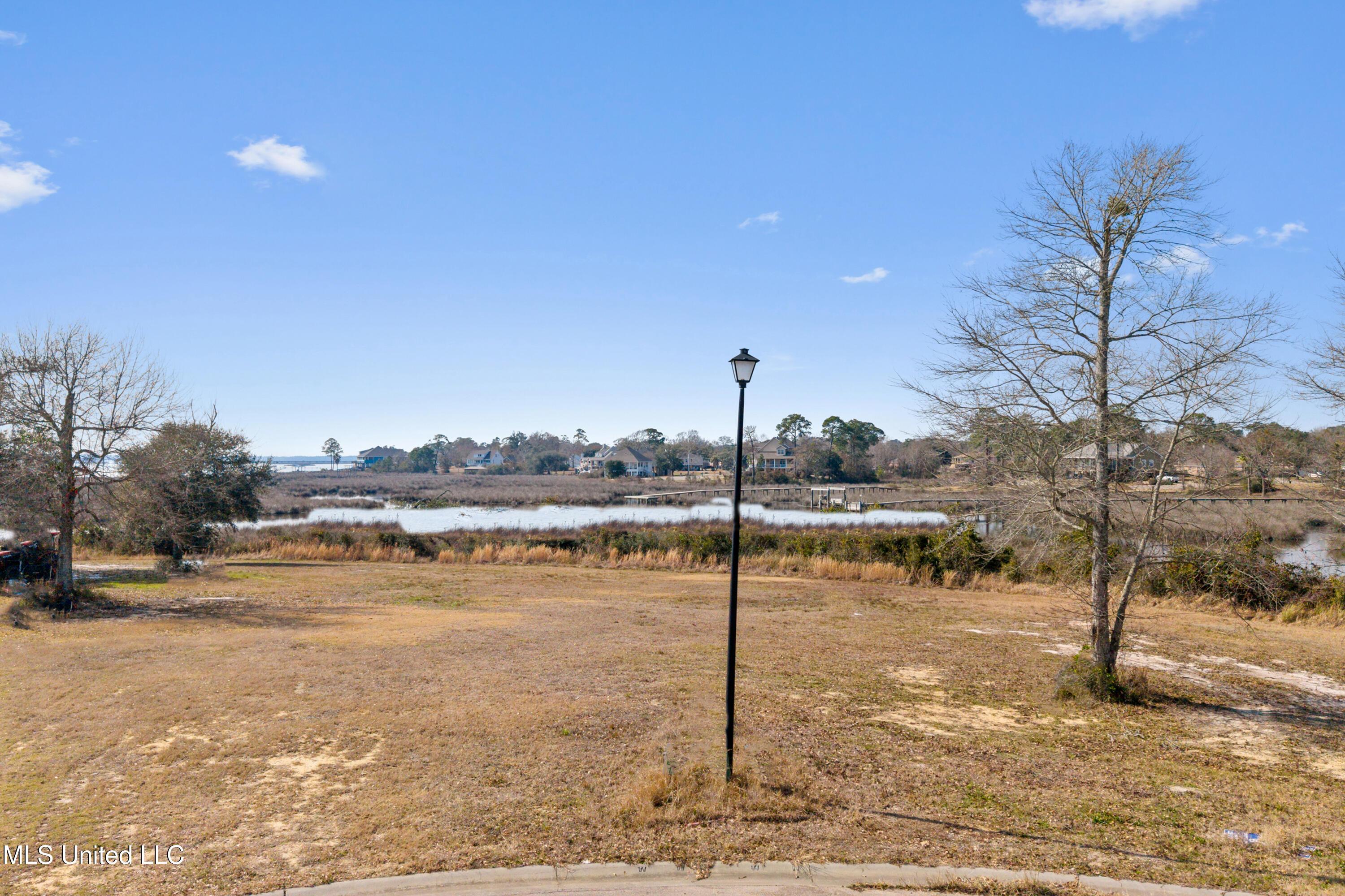Image 2: Lot
