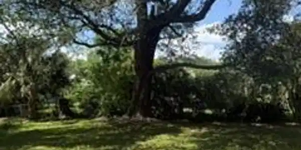 Image 3: 311 Ballentine pic 5