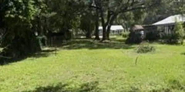 Image 4: 311 Ballentine pic 6