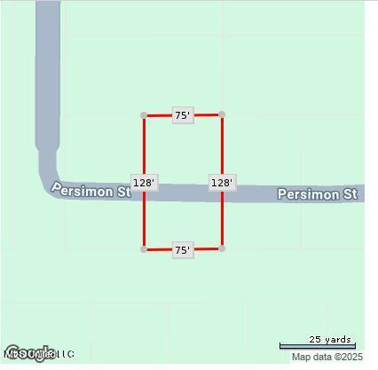 Image 1: Persimmon lot 2854