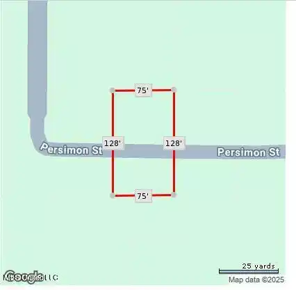 Image 1: Persimmon lot 2854