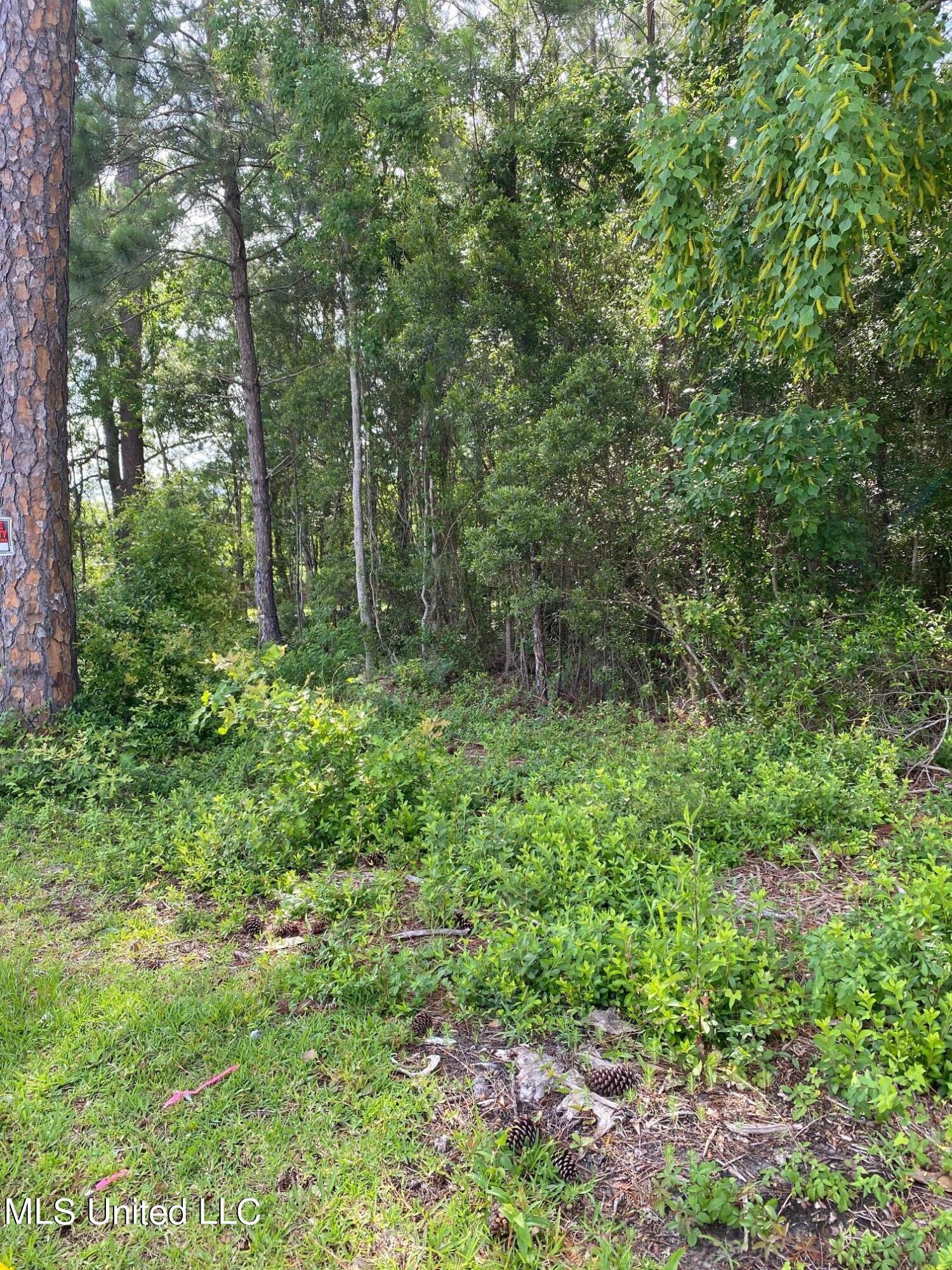 Image 3: IMG_2033