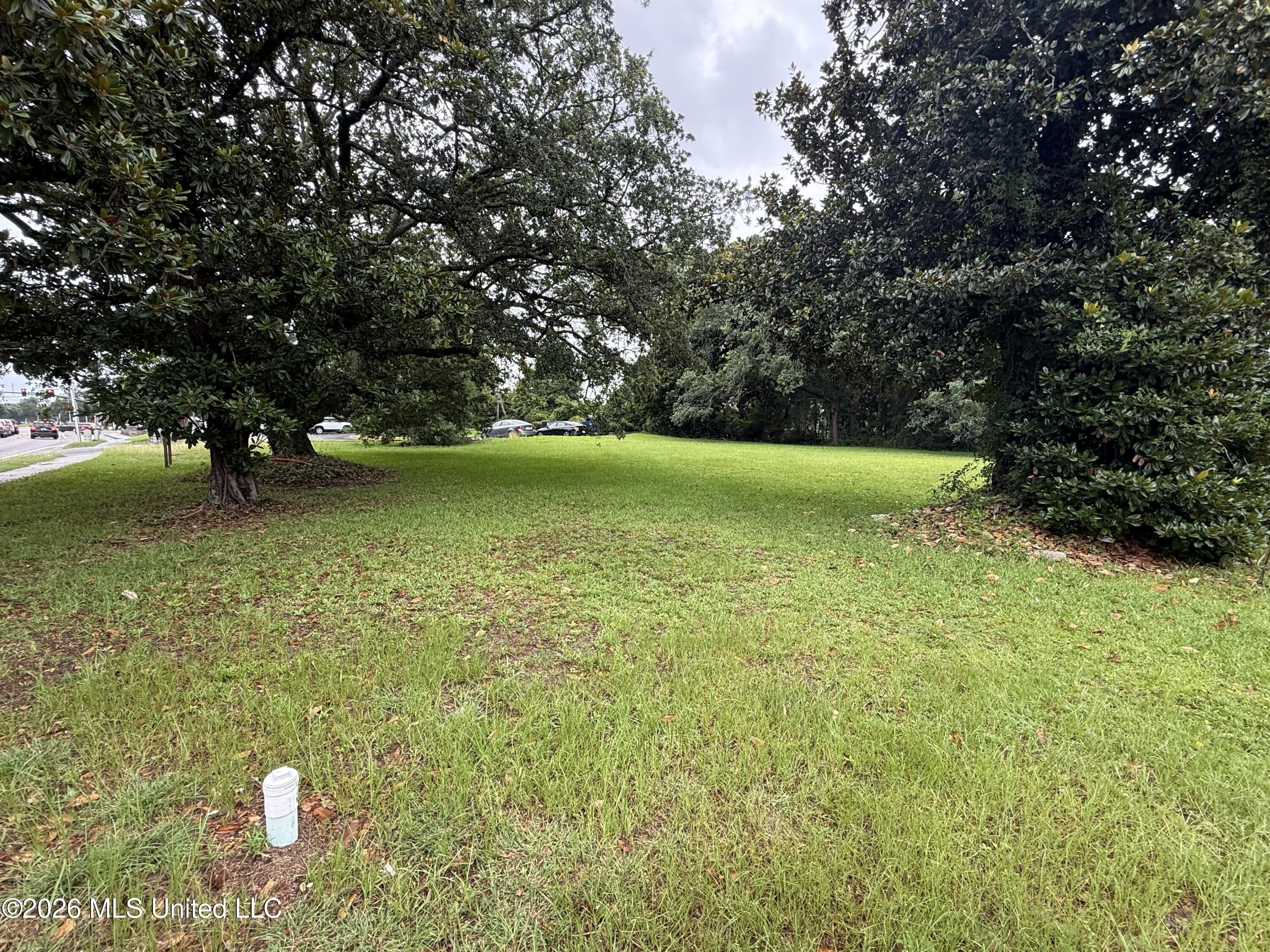 Image 2: IMG_1240