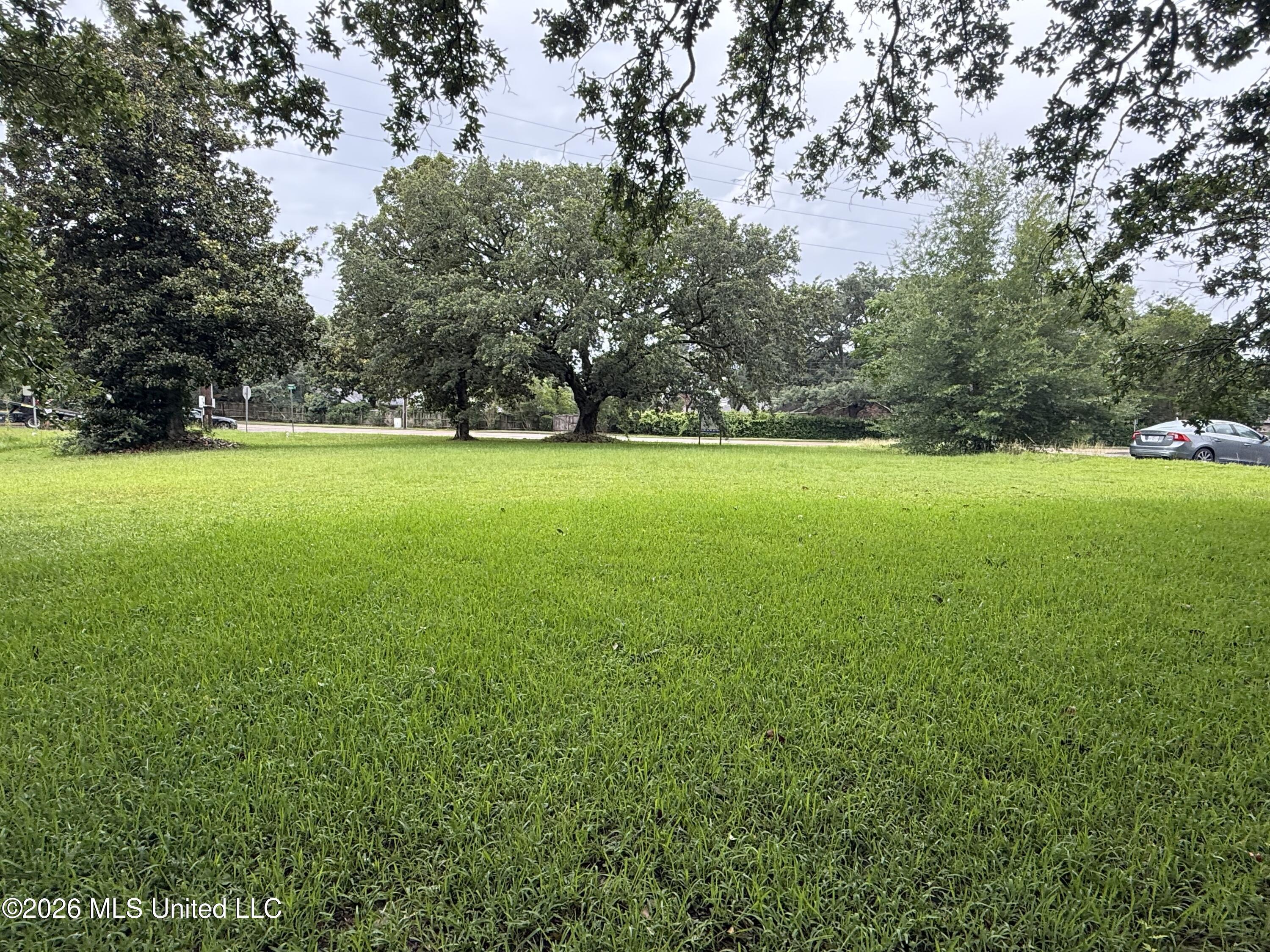 Image 3: IMG_1242