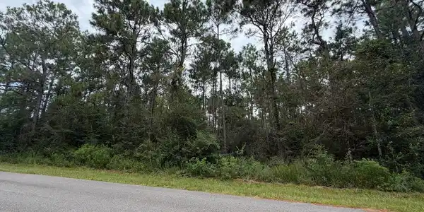 Image 2: 4