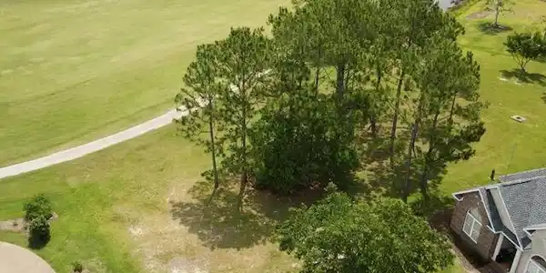 Forrest Preserve Circle