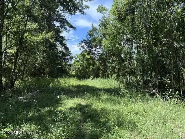Image 1: 1
