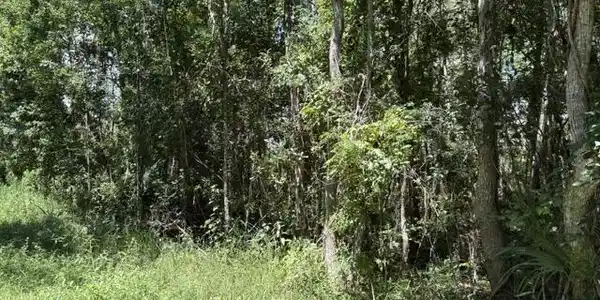 Image 3: 3