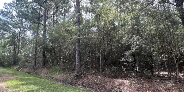 Nhn Tampa Circle