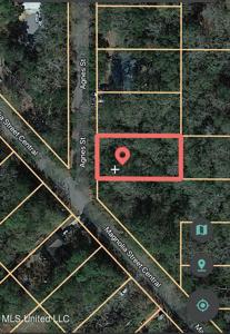 Lot 851 Agnes