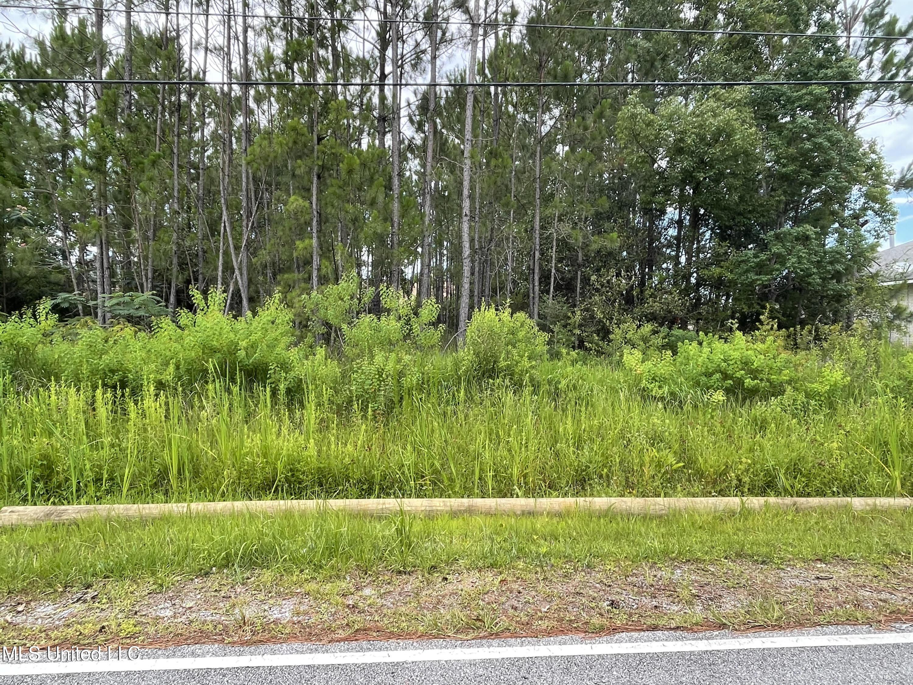 Image 1: Dismuke Avenue