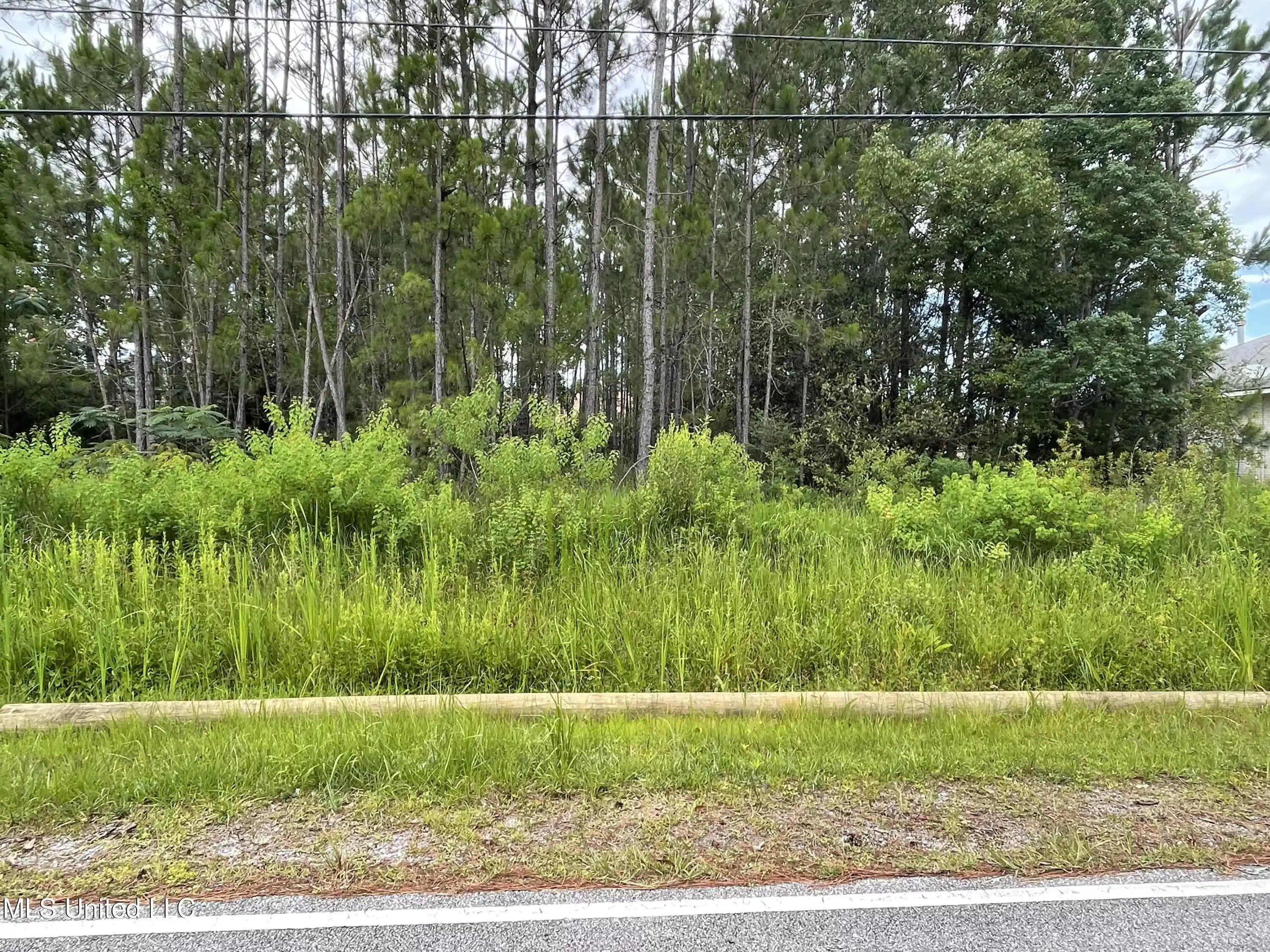Image 1: Dismuke Avenue
