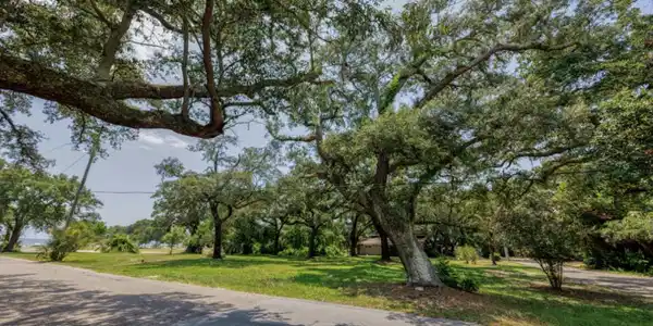127 & 133 Iberville Drive