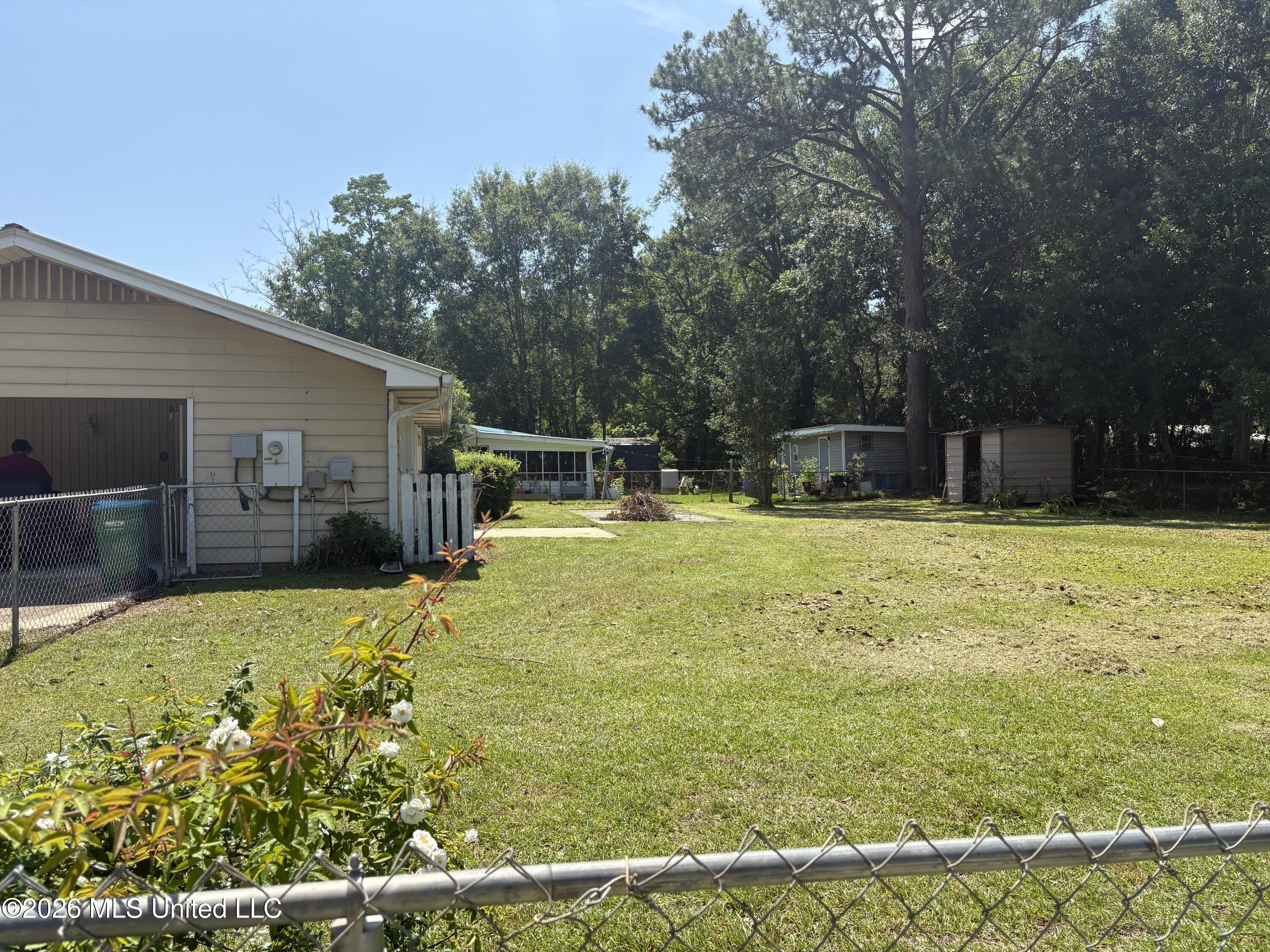Image 2: IMG_1986