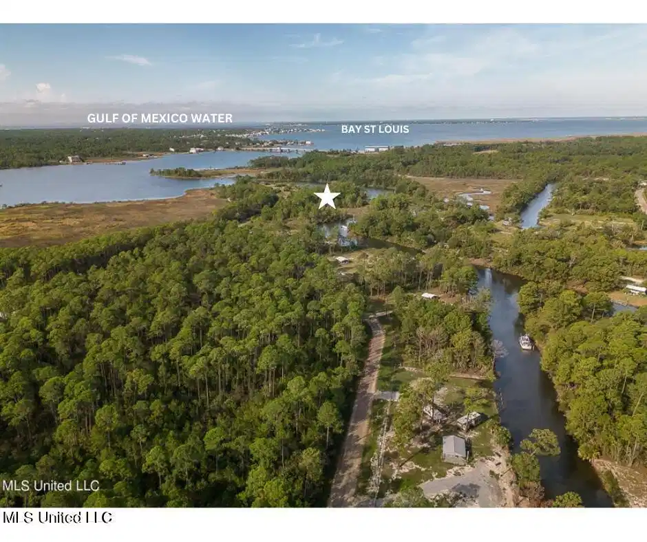 Image 1: Aerial